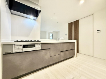 Lb`@ƑƂȂAR~jP[V̏