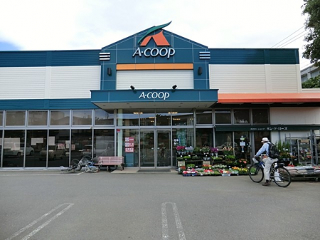ӊ@X[p[ 500m AR[vhX