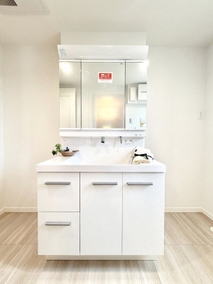 ���ʑ�E���ʏ��@���������̏������X���[�Y�ɂł���L���ł�