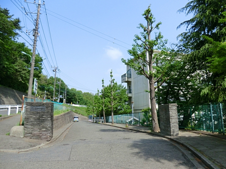 ӊ@wZ 1400m cstwZ