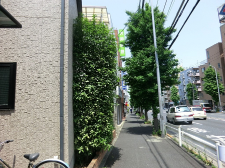 ӊ@a@ 500m 剪@