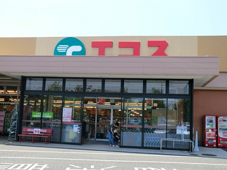 ӊ@X[p[ 500m TAIRAYA qX