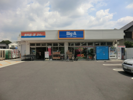 ӊ@X[p[ 600m rbOEG[cLѓX