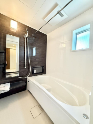 �����@�����������������F�����̕ǖʁA������芰����o�X���[��