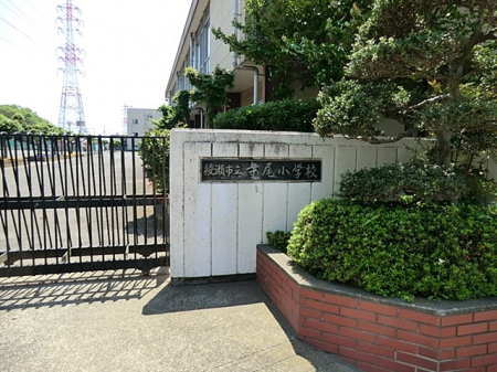 ӊ@wZ 250m swZ