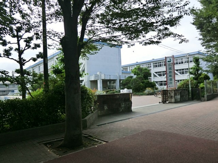 ӊ@wZ 800m sxm䏬wZ