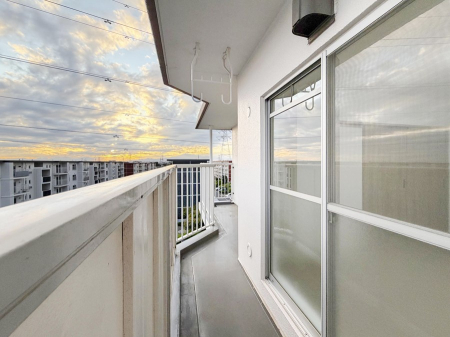 oRj[@ ̃R[q[̐yށȀꏊ