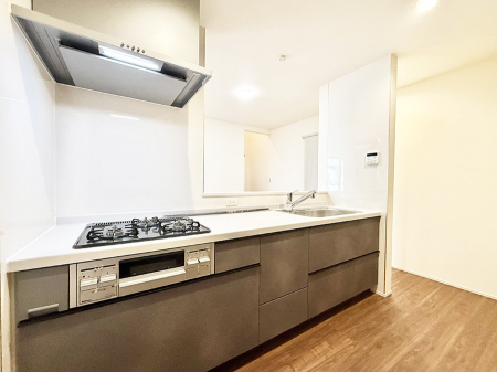 Lb`@VvŔSn悢Ԃ𐶂ރLb`