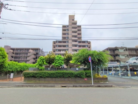 nOώʐ^@O