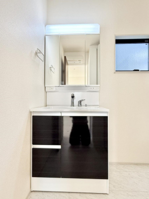 ���ʑ�E���ʏ��@���������̏������X���[�Y�ɂł���L���ł�