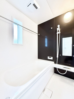 �����@�����������������F�����̕ǖʁA������芰����o�X���[��