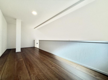 ���̑��@������+���̃X�y�[�X�I���t�g�t���I  