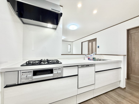 Lb`@VvŔSn悢Ԃ𐶂ރLb`