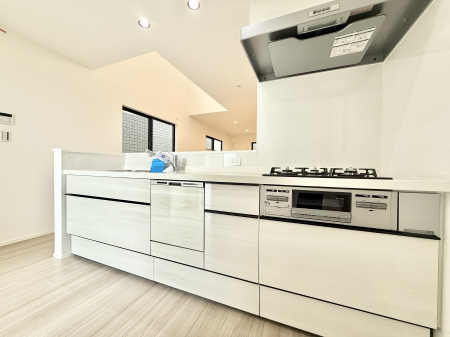 Lb`@VvŔSn悢Ԃ𐶂ރLb`