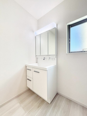 ���ʑ�E���ʏ��@���������̏������X���[�Y�ɂł���L���ł�