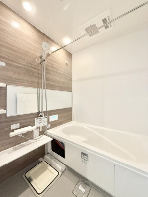 �����@�����������������F�����̕ǖʁA������芰����o�X���[��