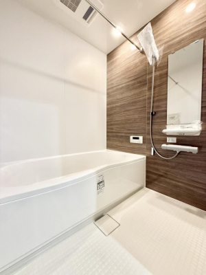 �����@����������̔�������A�S����������Ԃł�