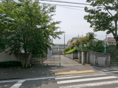 ӊ@wZ 1300m ls蒆wZ