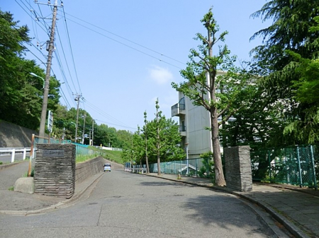 ӊ@wZ 1440m cstwZ
