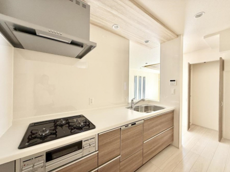 Lb`@VvŔSn悢Ԃ𐶂ރLb`