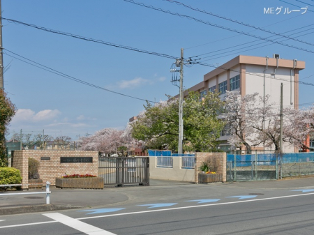 ӊ@wZ 740m qs茴wZ