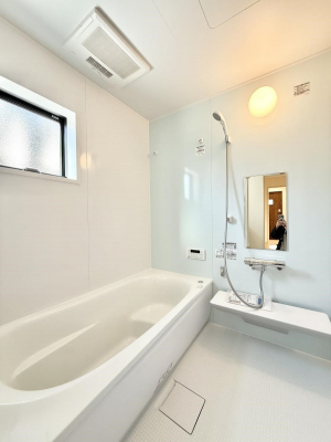 �����@�����������������F�����̕ǖʁA������芰����o�X���[��