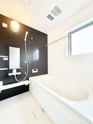 �����@�����������������F�����̕ǖʁA������芰����o�X���[��