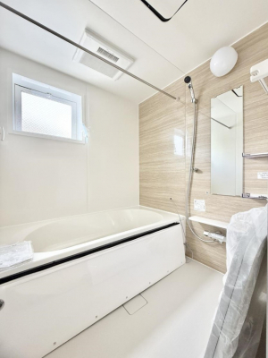 �����@�����������������F�����̕ǖʁA������芰����o�X���[��