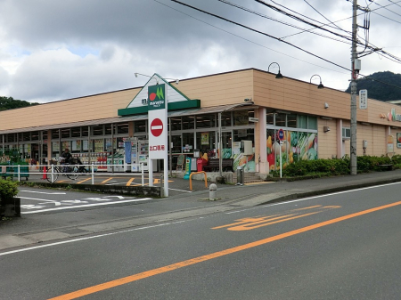 ӊ@X[p[ 4100m }Gc OؓX