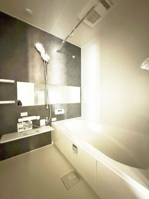 �����@�����������������F�����̕ǖʁA������芰����o�X���[��