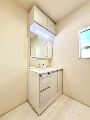 ���ʑ�E���ʏ��@���������̏������X���[�Y�ɂł���L���ł�