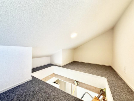 ���[�@����