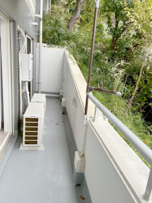 oRj[@ 𒭂߂ȂAقƈꑧʂȋ