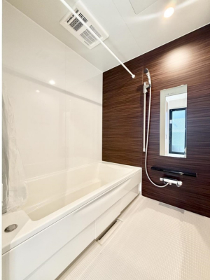 �����@�����������������F�����̕ǖʁA������芰����o�X���[��