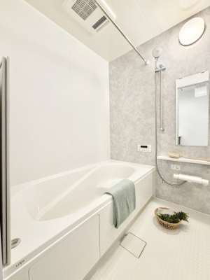 �����@�����������������F�����̕ǖʁA������芰����o�X���[��