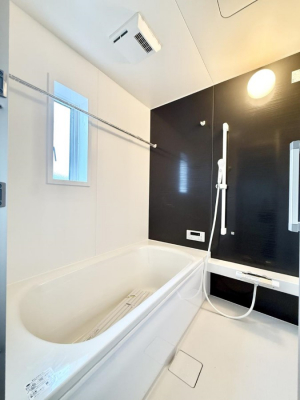 �����@�����������������F�����̕ǖʁA������芰����o�X���[��