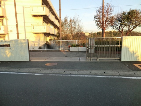 ӊ@wZ 400m ls򒆊wZ