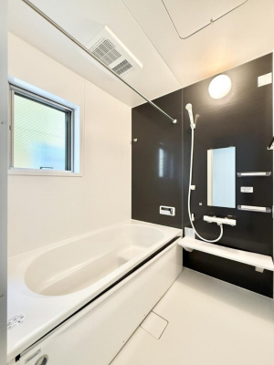 �����@�����������������F�����̕ǖʁA������芰����o�X���[��