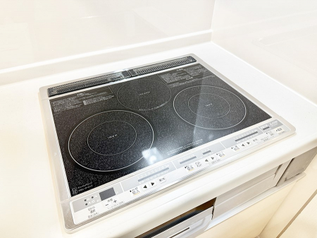 ̑ρ@ݔIHNbLOq[^̓Lb`肪AcȂ炸y