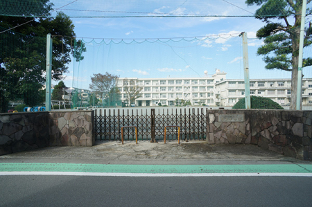 ӊ@wZ 290m 쑫s⌴wZ