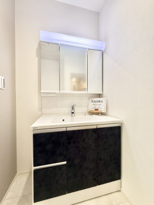 ���ʑ�E���ʏ��@���������̏������X���[�Y�ɂł���L���ł�