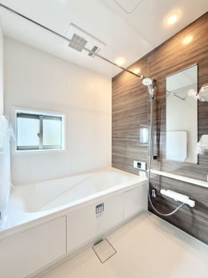 �����@�����������������F�����̕ǖʁA������芰����o�X���[��