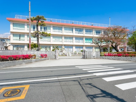 ӊ@wZ 950m ˎst쒆wZ