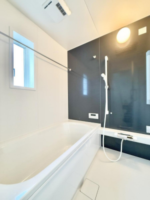 �����@����������̔�������A�S����������Ԃł�