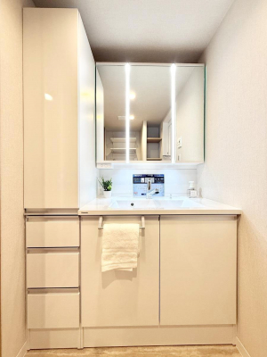 ���ʑ�E���ʏ��@���������̏������X���[�Y�ɂł���L���ł�