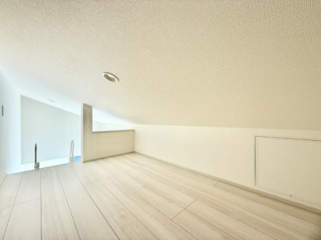 ���̑��@�������v���X���̎��[�X�y�[�X  