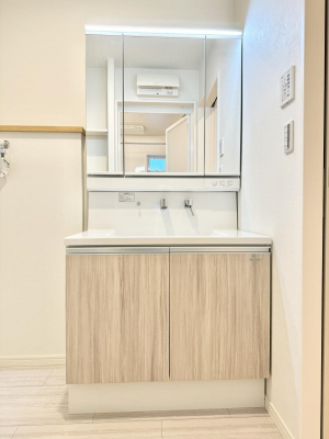 ���ʑ�E���ʏ��@���������̏������X���[�Y�ɂł���L���ł�