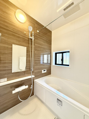 �����@�����������������F�����̕ǖʁA������芰����o�X���[��