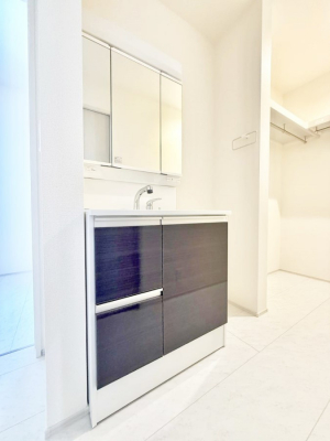 ���ʑ�E���ʏ��@���������̏������X���[�Y�ɂł���L���ł�