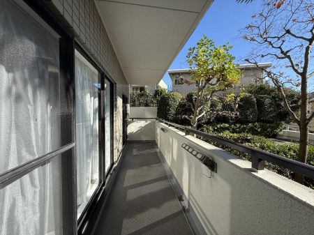 �o���R�j�[�@������ ���R��g�߂Ɋ�����A�J���I�ȃo���R�j�[